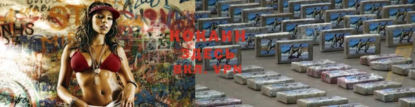 ПСИЛОЦИБИНОВЫЕ ГРИБЫ Краснослободск